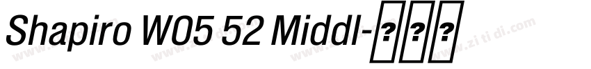 Shapiro W05 52 Middl字体转换 Shapiro W05 52 Middl字体转换